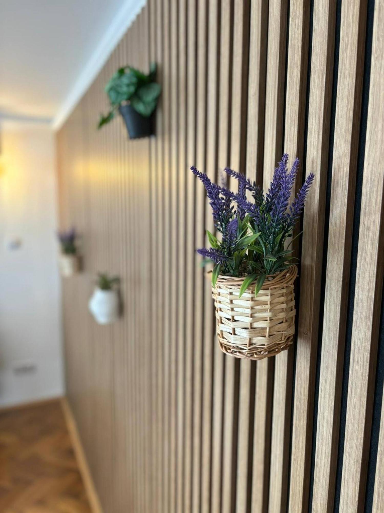 Luxury In Heart Of Praga